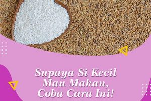 Supaya Anak Mau Makan Nasi Bunda Bisa Coba Tips Ini!